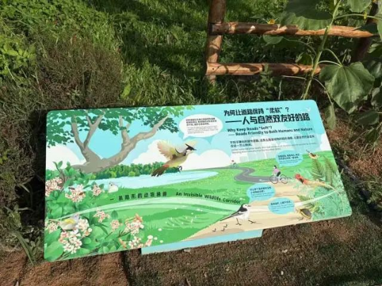 绿道土路段旁的科普牌 绿道土路段旁的科普牌
