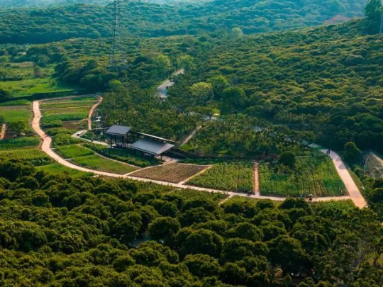 根据时节更换作物,实现四季繁茂的稻香尺岸节点 根据时节更换作物,实现四季繁茂的稻香尺岸节点