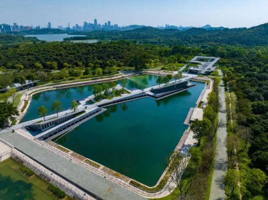 水上水下皆有“森林”的横塘垂砚 水上水下皆有“森林”的横塘垂砚