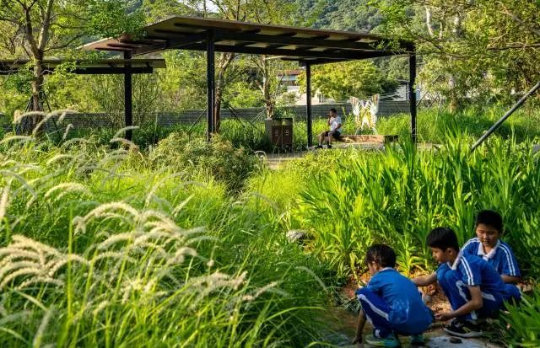 汇流花园景观小节点 汇流花园景观小节点