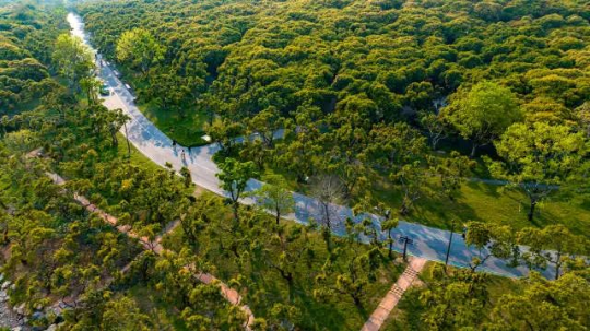 环西丽湖绿道 环西丽湖绿道