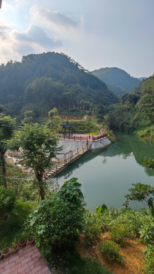 云浮林场韭菜坑管护站一隅。受访者供图