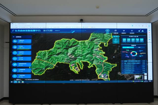 十大网赌平台推荐网站森林资源监测平台。南方+ 王嘉豪 拍摄