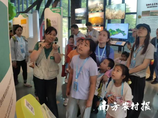 参观福田红树林生态公园展馆。 参观福田红树林生态公园展馆。