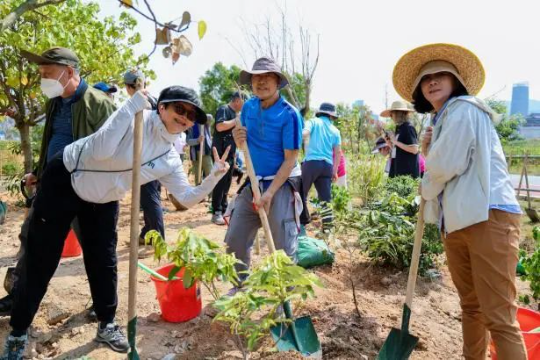 澳门及香港公众植树活动.jpg