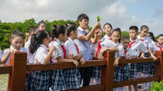 广东湛江红树林国家级自然保护区开展自然教育活动