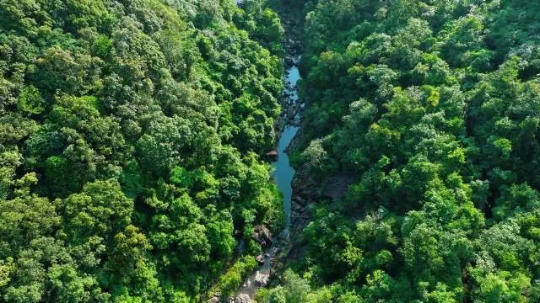 象头山国家级自然保护区