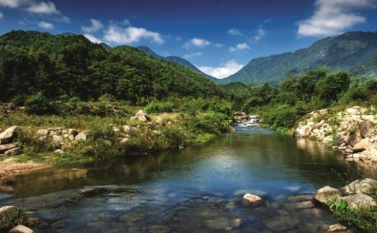 三岳自然保护区风景 三岳自然保护区风景