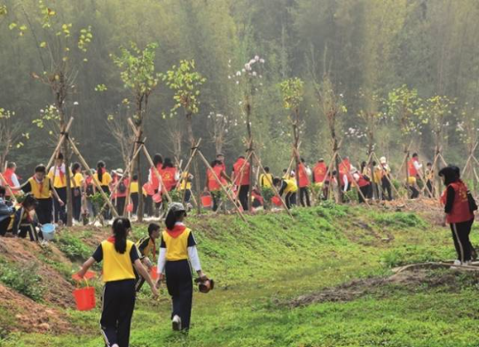 新时期全民义务植树活动 新时期全民义务植树活动