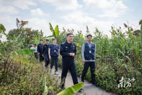 东莞市开展“清风行动2025”暨春季护鸟联合执法行动。