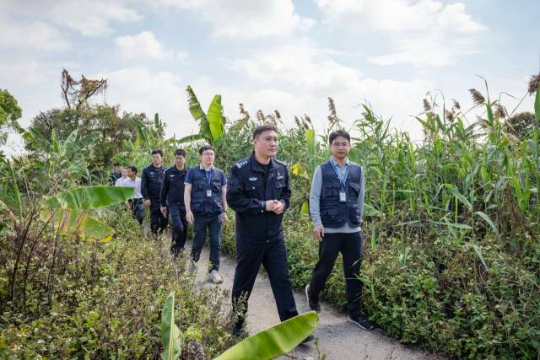 东莞市开展“清风行动2025”暨春季护鸟联合执法行动。