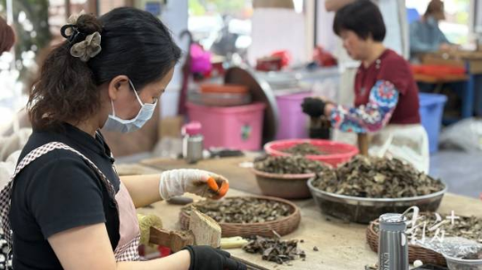 沉香加工利用。