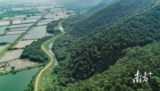 西江水鸟生态廊道。 西江水鸟生态廊道。