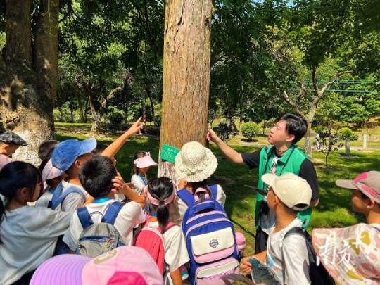 孩子们在林场开展自然教育活动。 通讯员 林荫 供图