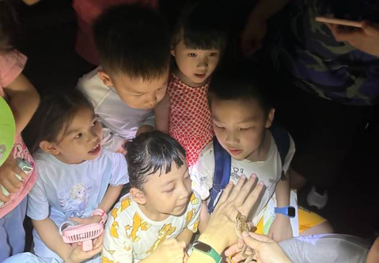 动物园奇妙夜 动物园奇妙夜