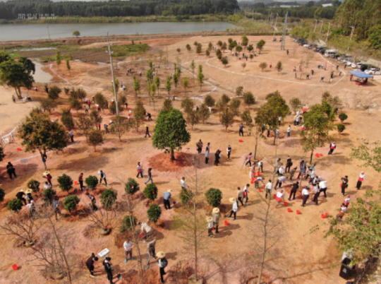 广州增城石滩镇增塘基地