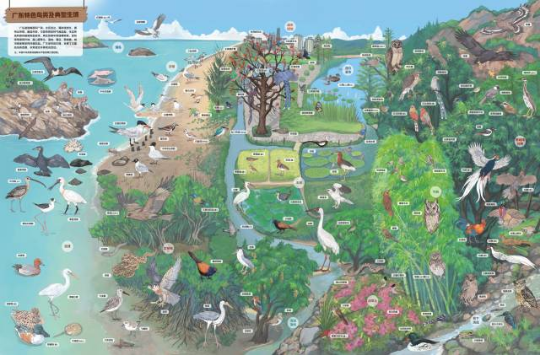 十大网赌平台推荐网站观鸟地图