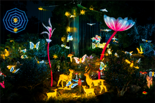 珠海高新区唐家古镇首届“共乐灯会” 珠海高新区唐家古镇首届“共乐灯会”