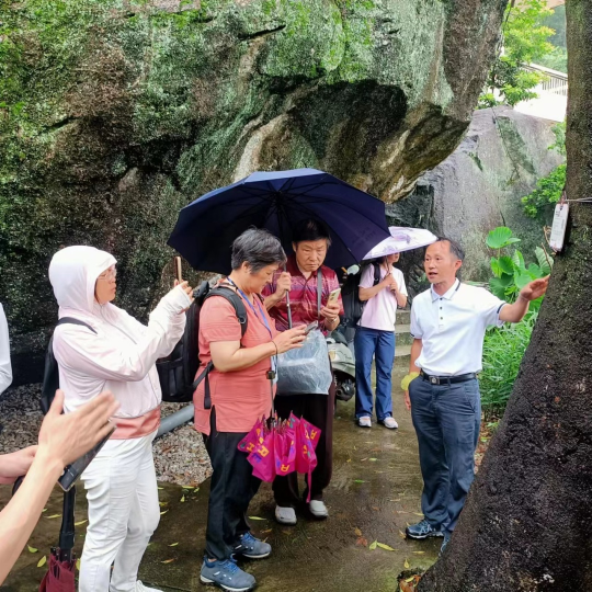 徐益成与游客讲解古树保护的知识。通讯员供图