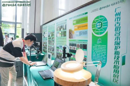 全国古树名木保护科普宣传周主场活动在广州举办。 全国古树名木保护科普宣传周主场活动在广州举办。