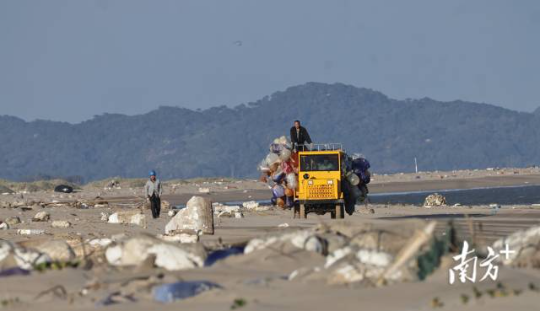 2024年12月13日，在培隆沙滩上，垃圾清运工作人员清走一车海漂垃圾。 
