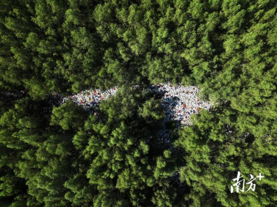 2025年6月25日，培隆沙滩旁的红树林，大片海漂垃圾覆盖红树林根部。