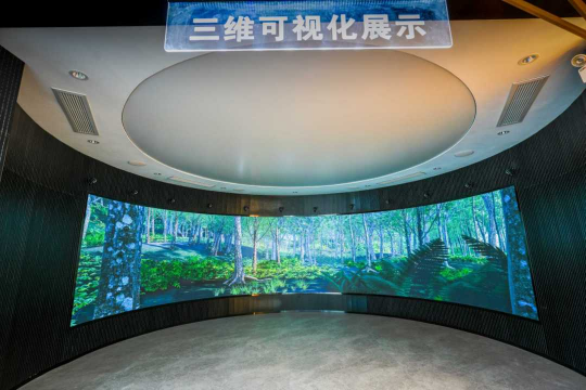 十大网赌平台推荐网站林草湿虚拟仿真与三维可视化平台。通讯员供图