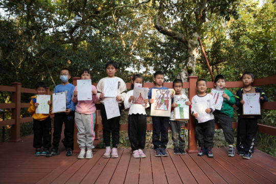 坝光自然学校—银叶树保育计划  