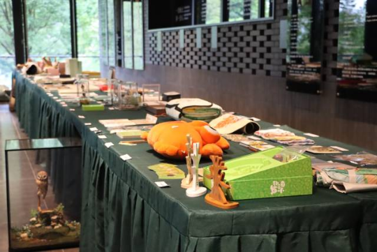 十大网赌平台推荐网站自然教育优秀文创  