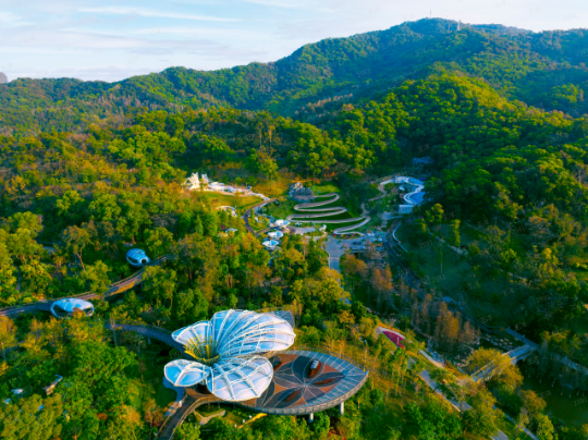 广州市白云山绿美点。林荫供图