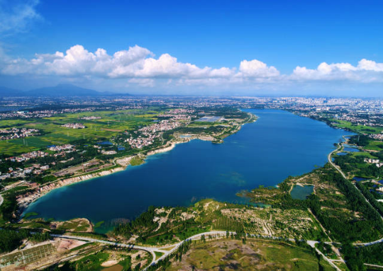 茂名市茂南区露天矿生态公园绿美点。林荫供图