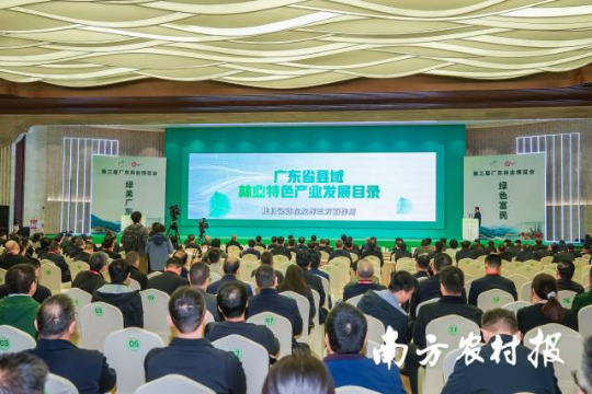 第三届广东林博会开幕式现场