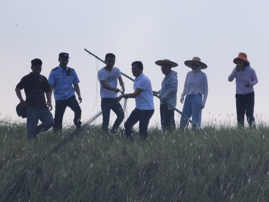 湛江鸟网拆除。通讯员供图