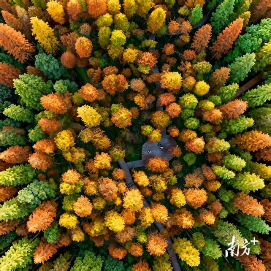 广东天井山国家森林公园。 广东天井山国家森林公园。