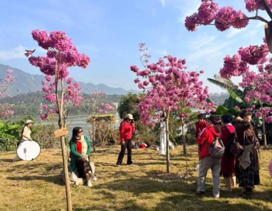 2023年由民营企业家与爱心人士共同种植形成的“民企林”，已经成为星湖又一热门打卡点